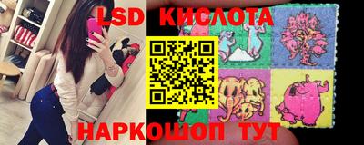 spice Краснознаменск
