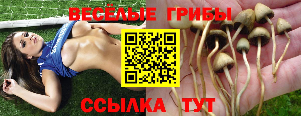 Псилоцибиновые грибы прущие грибы Узловая