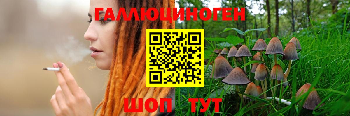 Псилоцибиновые грибы Cubensis  Вход с VPN  Узловая  Галлюциногенные грибы Psilocybe 